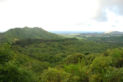 2007_05_31_HAWAII (112) (Large).JPG
